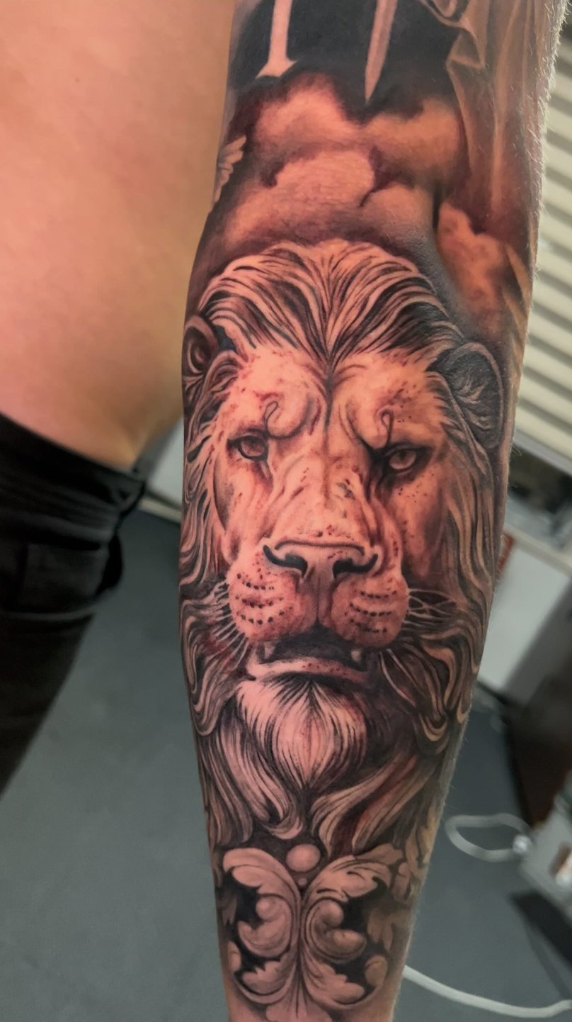 Leg · Stone Lion Portrait